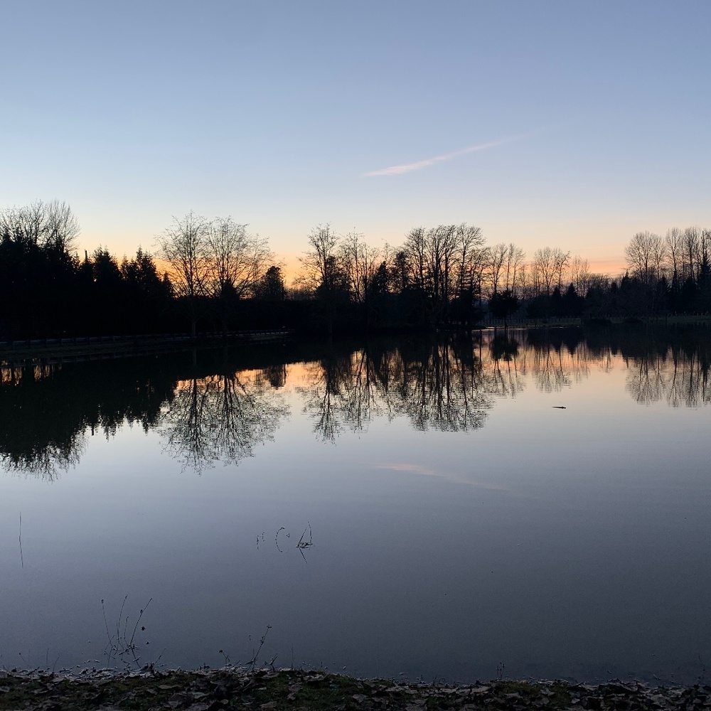 Meet your Posher, Lacey